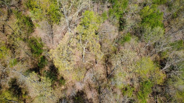0 Mill Ave, Hohenwald, TN 38462