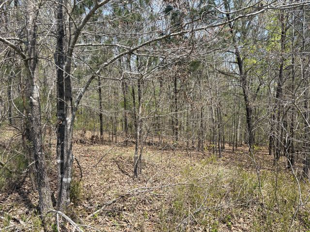 0 Mill Ave, Hohenwald, TN 38462