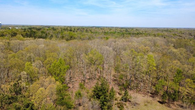 0 Mill Ave, Hohenwald, TN 38462