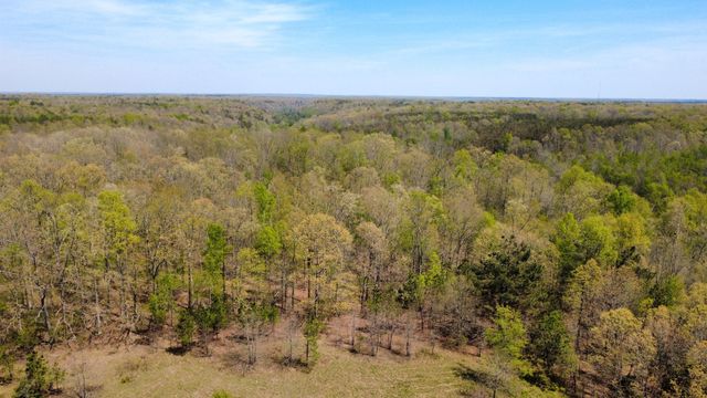 0 Mill Ave, Hohenwald, TN 38462