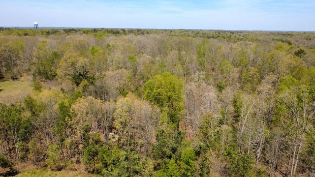 0 Mill Ave, Hohenwald, TN 38462