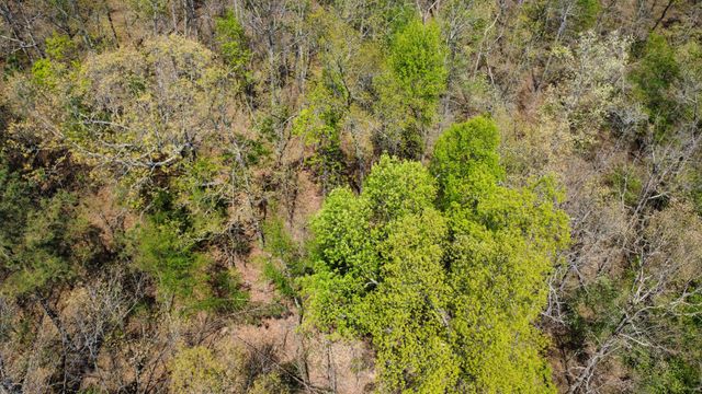 0 Mill Ave, Hohenwald, TN 38462