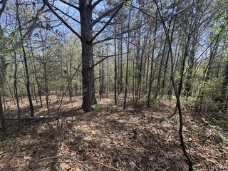0 Mill Ave, Hohenwald, TN 38462