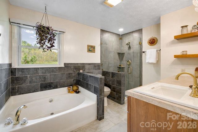 6334 Jacks Creek Road, Burnsville, NC 28714