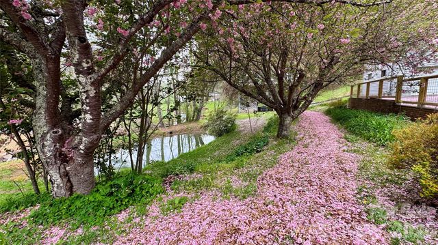 6334 Jacks Creek Road, Burnsville, NC 28714