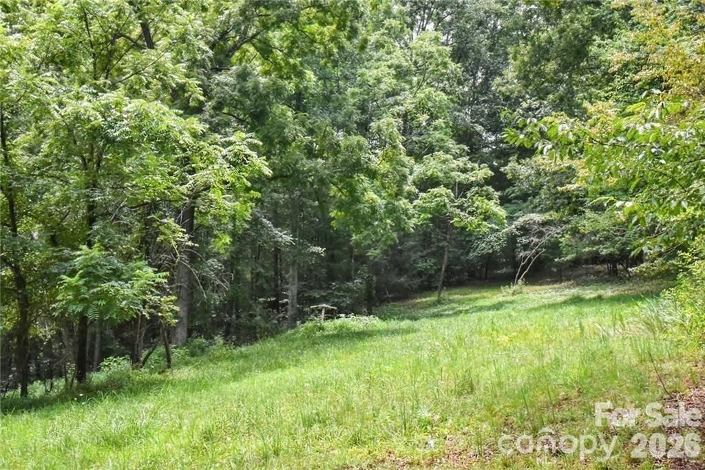 19 Laurel Loop Road, Fairview, NC 28730
