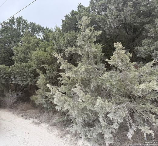 1372 Laguna Dr., Spring Branch, TX 78070