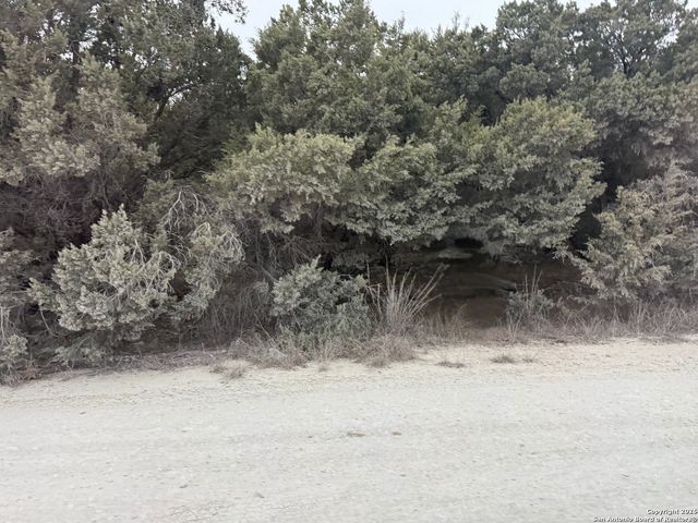 1372 Laguna Dr., Spring Branch, TX 78070