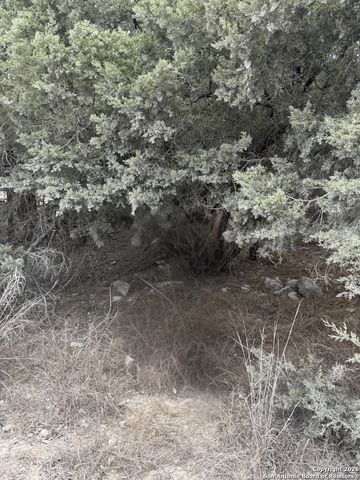 1372 Laguna Dr., Spring Branch, TX 78070