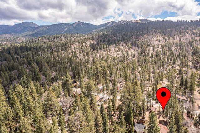 42532 Willow Avenue, Big Bear, CA 92315