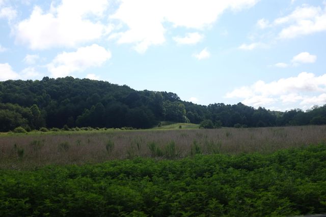 75 Bull Run, East Bernstadt, KY 40729