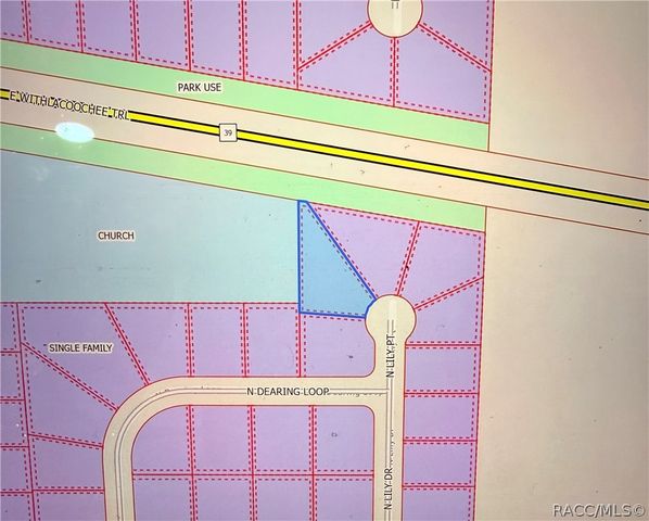 9818 N Lily Drive, Citrus Springs, FL 34434