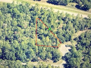 9818 N Lily Drive, Citrus Springs, FL 34434