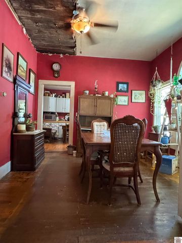 309 N Eagle Street, Princeton, KY 42445