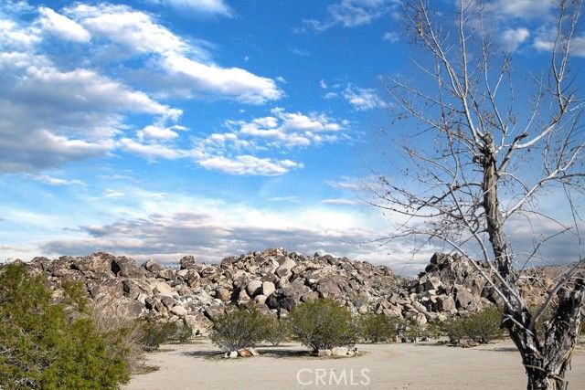 6875 Mount Shasta Avenue, Joshua Tree, CA 92252