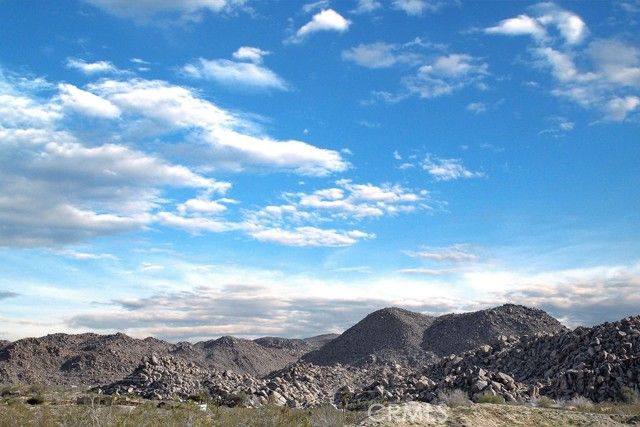 6875 Mount Shasta Avenue, Joshua Tree, CA 92252