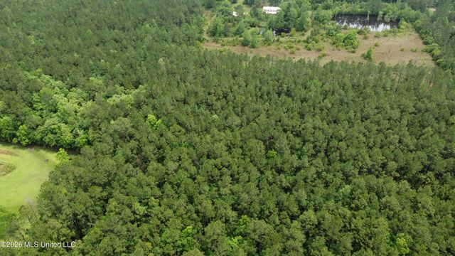 21205 S Fork Road, Saucier, MS 39574