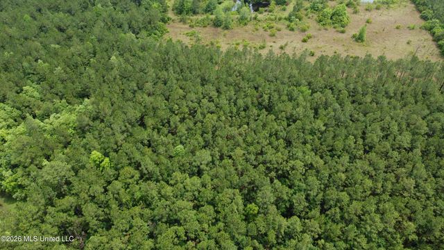 21205 S Fork Road, Saucier, MS 39574