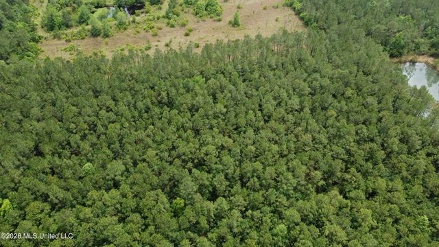 21205 S Fork Road, Saucier, MS 39574
