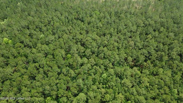 21205 S Fork Road, Saucier, MS 39574