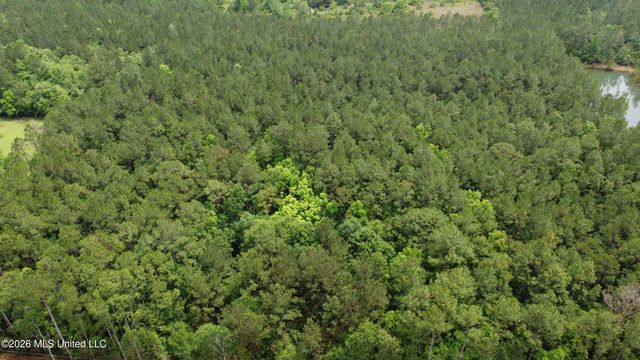 21205 S Fork Road, Saucier, MS 39574