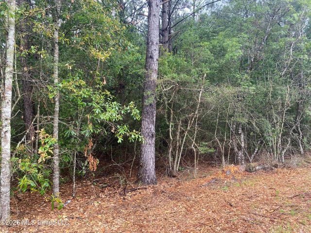 21205 S Fork Road, Saucier, MS 39574
