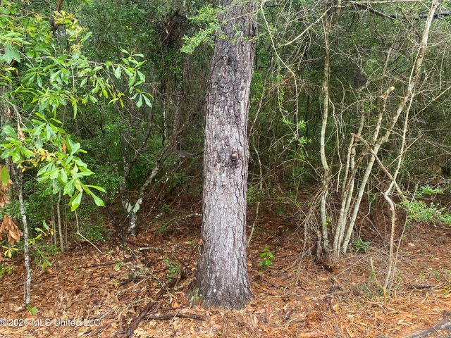 21205 S Fork Road, Saucier, MS 39574