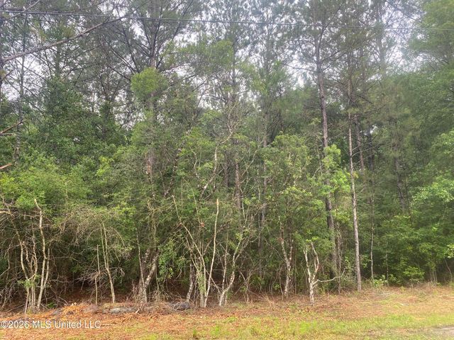 21205 S Fork Road, Saucier, MS 39574