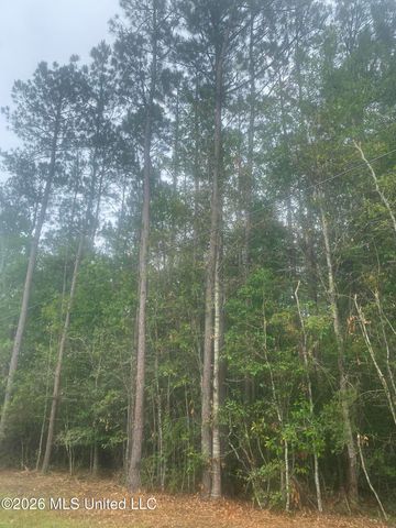 21205 S Fork Road, Saucier, MS 39574