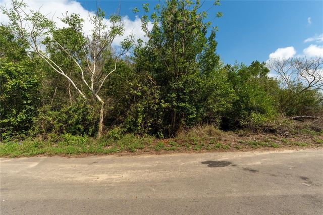 0 TOM SHEFFIELD ROAD, Frostproof, FL 33843