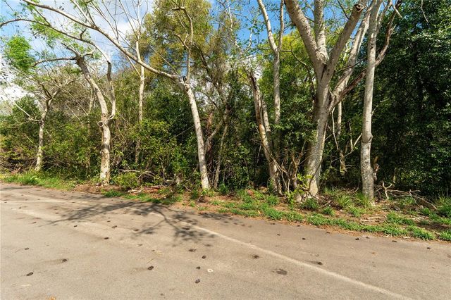 0 TOM SHEFFIELD ROAD, Frostproof, FL 33843