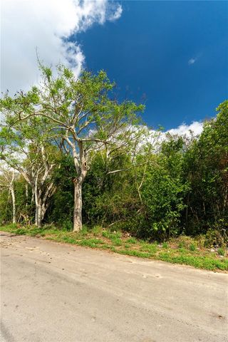 0 TOM SHEFFIELD ROAD, Frostproof, FL 33843