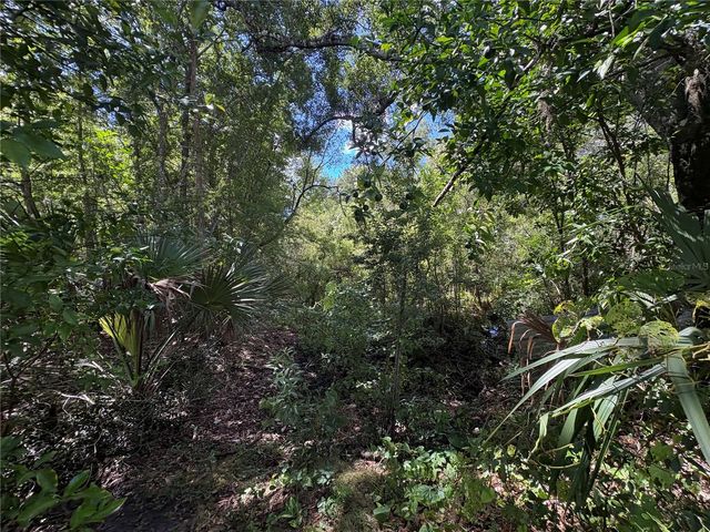 10526 E IRENE STREET, Inverness, FL 34450