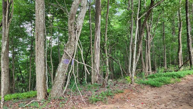 Lot 32 Calvender Road, Turtletown, TN 37317