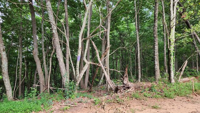 Lot 32 Calvender Road, Turtletown, TN 37317