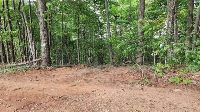 Lot 32 Calvender Road, Turtletown, TN 37317