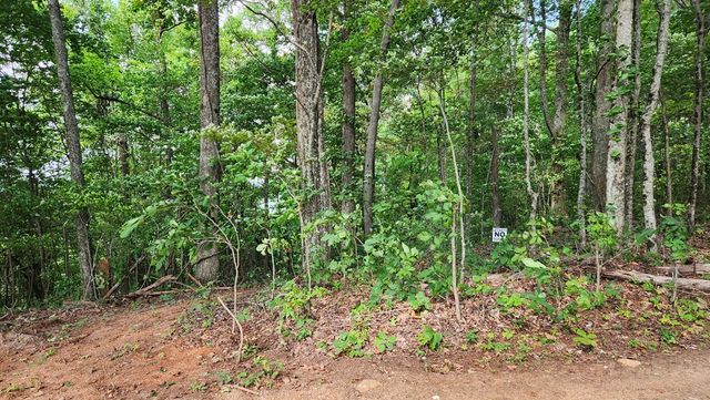 Lot 32 Calvender Road, Turtletown, TN 37317