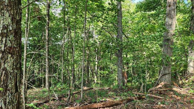 Lot 32 Calvender Road, Turtletown, TN 37317