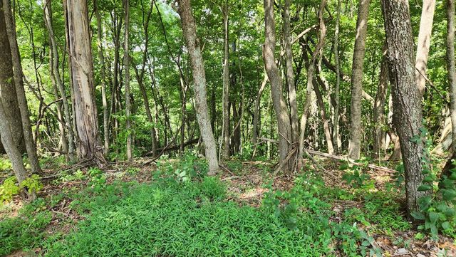 Lot 32 Calvender Road, Turtletown, TN 37317