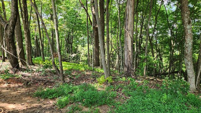 Lot 32 Calvender Road, Turtletown, TN 37317