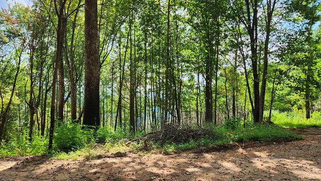 Lot 32 Calvender Road, Turtletown, TN 37317