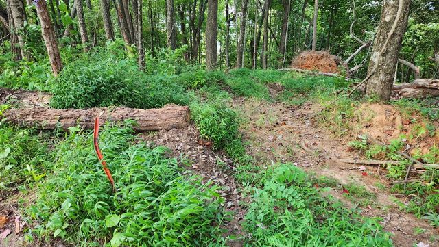 Lot 32 Calvender Road, Turtletown, TN 37317