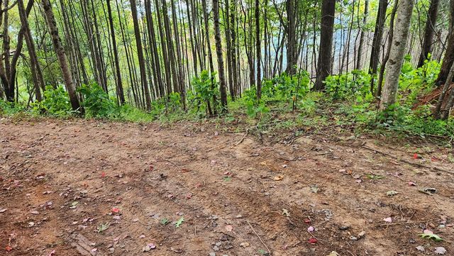 Lot 32 Calvender Road, Turtletown, TN 37317