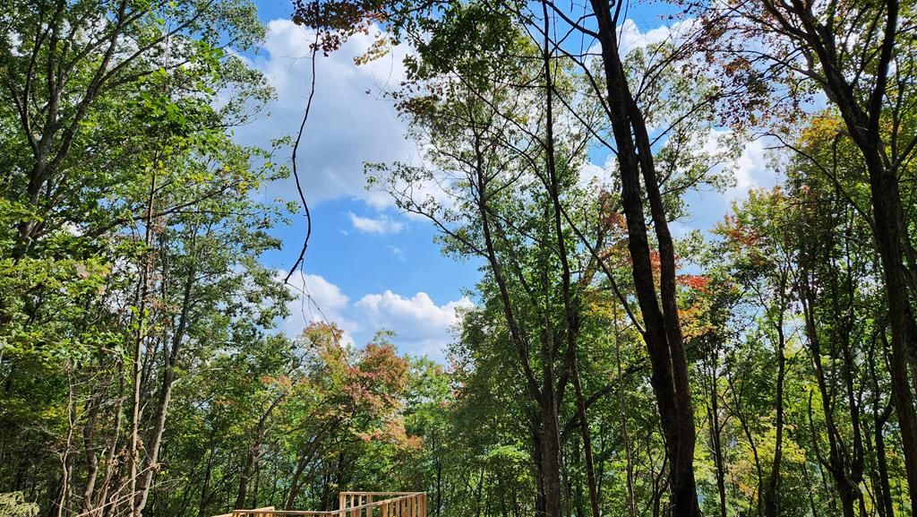 Lot 32 Calvender Road, Turtletown, TN 37317