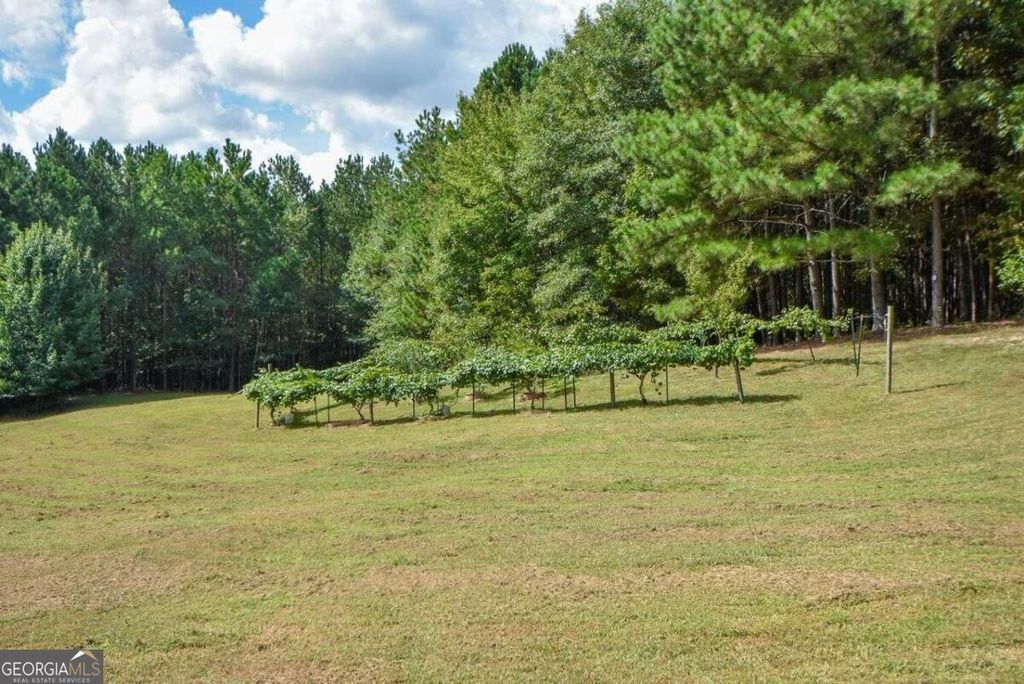 3616 Thompson Mill Road, Buford, GA 30519 — photo 4