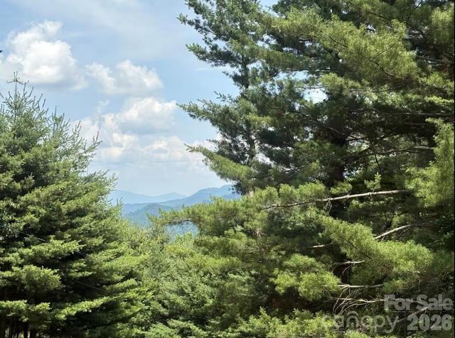 30 Grove Park, Waynesville, NC 28786