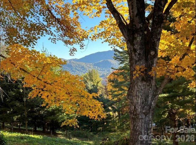 30 Grove Park, Waynesville, NC 28786