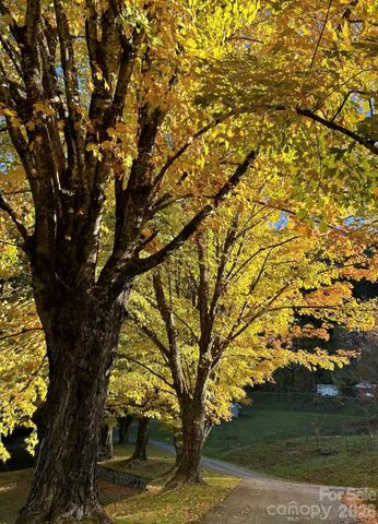 30 Grove Park, Waynesville, NC 28786