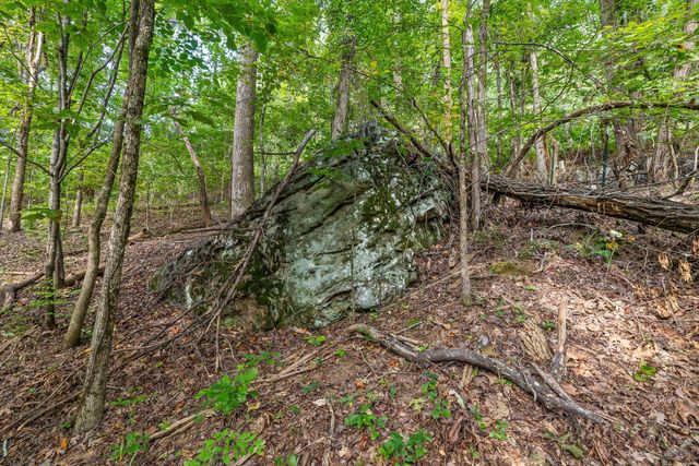 2255 Nickajack Road, Flintstone, GA 30725