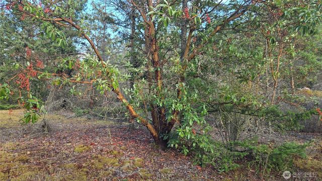 7701 NHN State Route 20, Anacortes, WA 98221